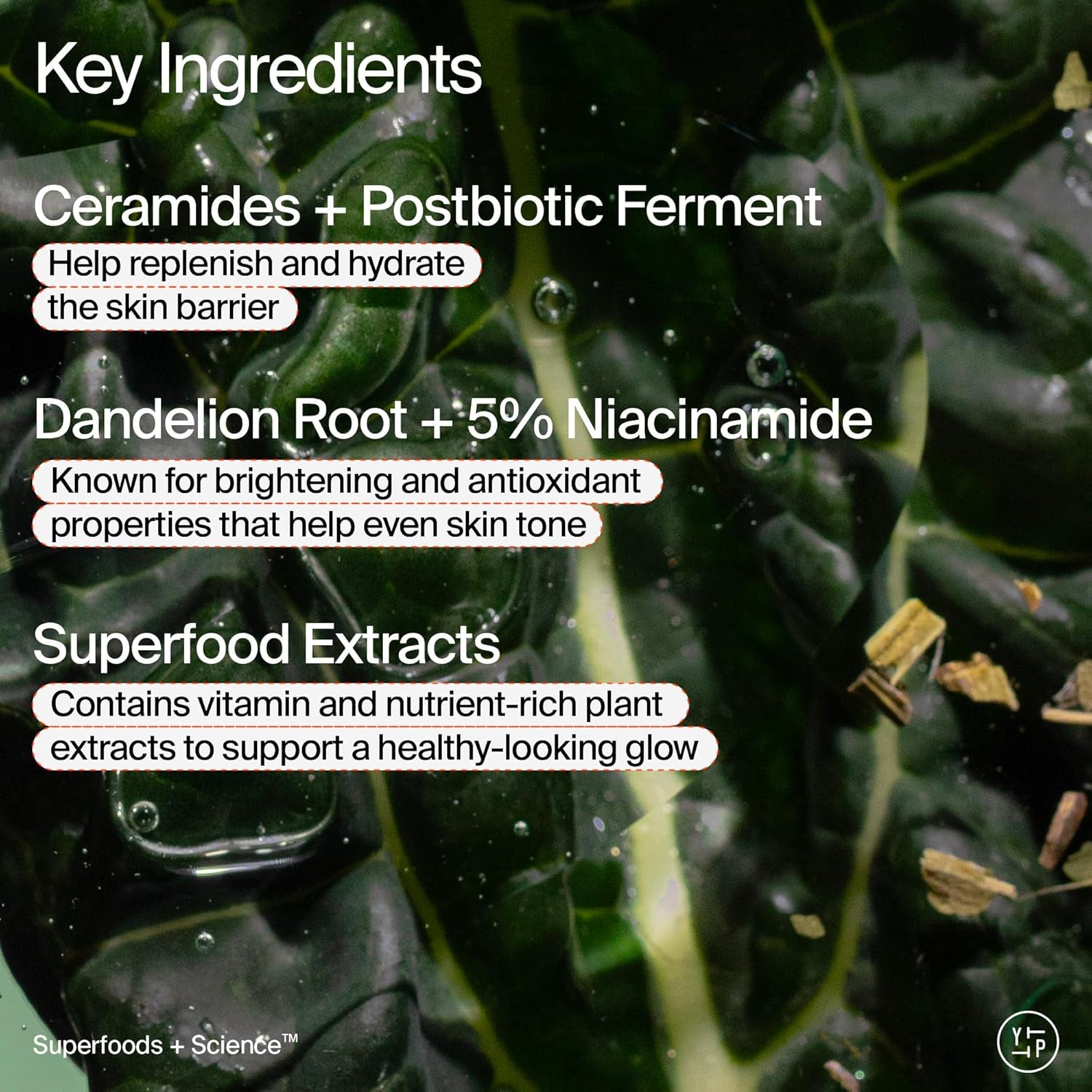Superfood Skin Drip Face Serum (1 Fl Oz), Strengthens Skin Barrier + Evens Skin Tone, 5% Niacinamide, Kale, Peptides, Ceramides, Boosts Glow, Vegan